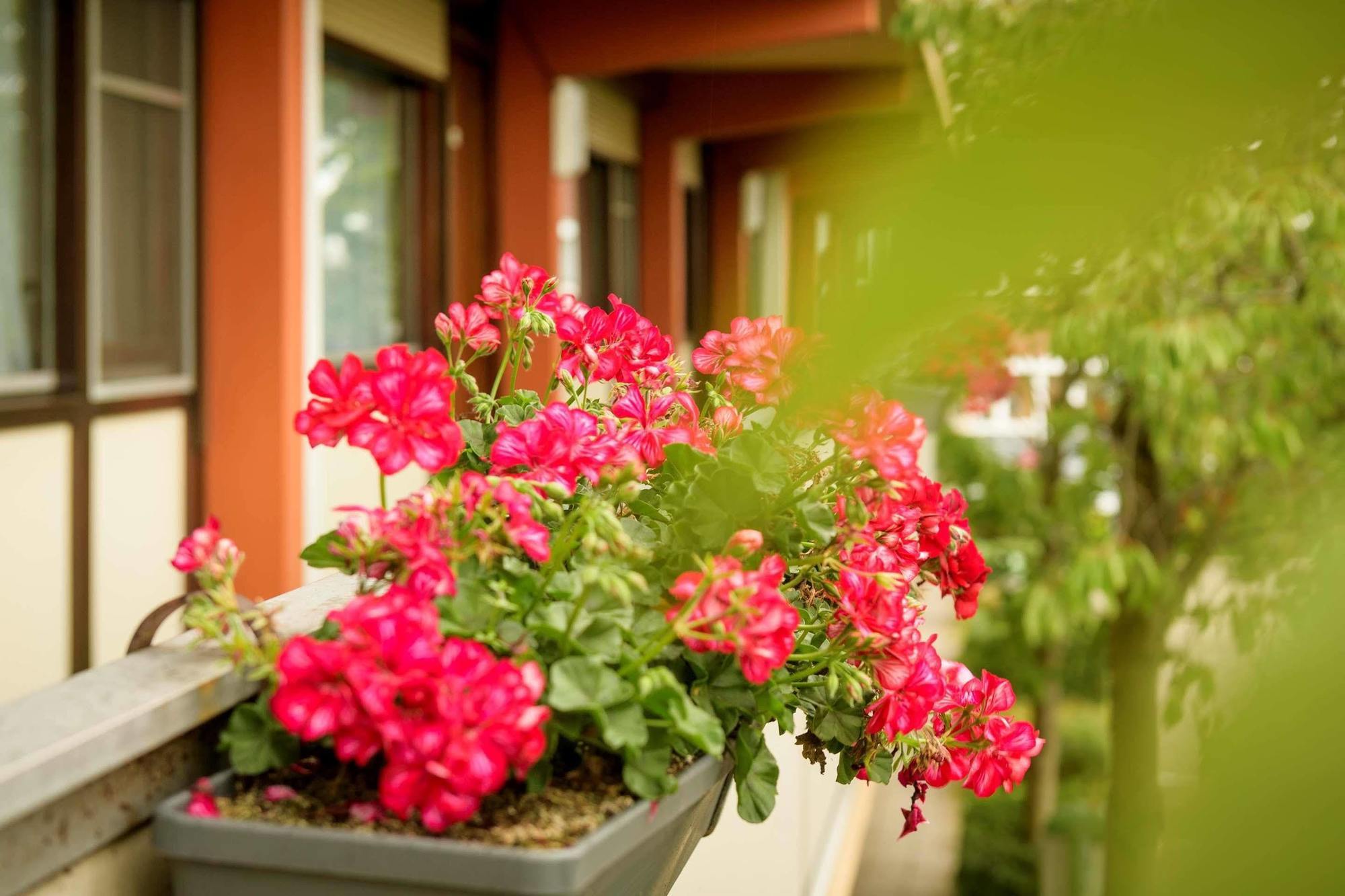 Hotel Campanile & Restaurant 3*